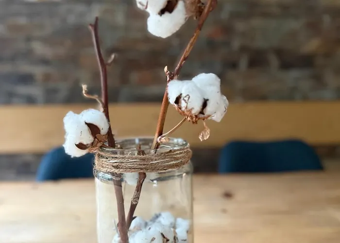 Snowball, Modern, Cosy, Matterhorn Views